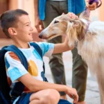 Morso di cane - cosa fare e quando preoccuparsi