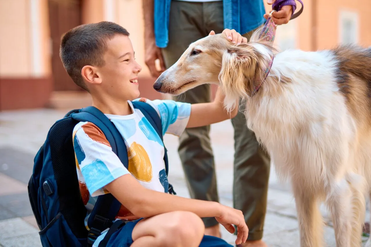 Morso di cane - cosa fare e quando preoccuparsi