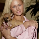 Pet parenting - nuove generazioni e animali domestici
